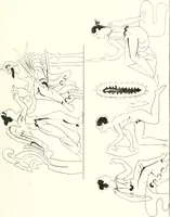 An illustration from Pitture di vasi fittili, esibite dal cav. F. Inghirami per servire di studio alla mitologia ed all storia degli antichi popoli (1838)