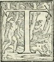 Picture 22 of 25 from Pittvre del Doni, academico pellegrino : nelle quali si mostra di nuoua inuentione : amore, fortuna, tempo, castità, religione, sdegno, riforma, morte, sonno & sogno, huomo, republica, & magnanimità : divise in due trattati : libro primo (1564), leaf 106