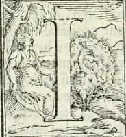 An illustration from Pittvre del Doni, academico pellegrino : nelle quali si mostra di nuoua inuentione : amore, fortuna, tempo, castità, religione, sdegno, riforma, morte, sonno & sogno, huomo, republica, & magnanimità : divise in due trattati : libro primo (1564)