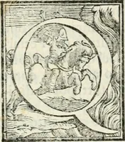 Picture 9 of 25 from Pittvre del Doni, academico pellegrino : nelle quali si mostra di nuoua inuentione : amore, fortuna, tempo, castità, religione, sdegno, riforma, morte, sonno & sogno, huomo, republica, & magnanimità : divise in due trattati : libro primo (1564), leaf 51