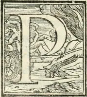 An illustration from Pittvre del Doni, academico pellegrino : nelle quali si mostra di nuoua inuentione : amore, fortuna, tempo, castità, religione, sdegno, riforma, morte, sonno & sogno, huomo, republica, & magnanimità : divise in due trattati : libro primo (1564)