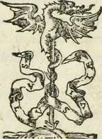 An illustration from Pittvre del Doni, academico pellegrino : nelle quali si mostra di nuoua inuentione : amore, fortuna, tempo, castità, religione, sdegno, riforma, morte, sonno & sogno, huomo, republica, & magnanimità : divise in due trattati : libro primo (1564)