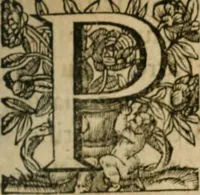 Picture 2 of 185 from Placcart dv Roy sur le reglement de ses monnoyes (1644), leaf 6