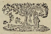 Picture 1 of 4 from Plaidoyé de M.L. Dollé advocat en la Covr de Parlement / (1595), leaf 5