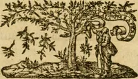 Picture 12 of 15 from A plaine path-way to plantations : that is, A discourse in generall, concerning the plantation of our English people in other countries. Wherein is declared, that the attempts or actions, in themselves are very good and laudable, necessary also for our country of England. Doubts thereabout are answered: and some meanes are shewed, by which the same may, in better sort then hitherto, be prosecuted and effected. Written for the preswading and stirring up of the people of this land, chiefly the poorer and common sort to affect and effect these attempts better then yet they doe. With certaine motives for a present plantation in New-foundland aboue the rest. Made in the manner of a conference, and divided into three parts, for the more plainnesse, ease, and delight to the reader (1624), leaf 106