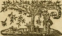 An illustration from A plaine path-way to plantations : that is, A discourse in generall, concerning the plantation of our English people in other countries. Wherein is declared, that the attempts or actions, in themselves are very good and laudable, necessary also for our country of England. Doubts thereabout are answered: and some meanes are shewed, by which the same may, in better sort then hitherto, be prosecuted and effected. Written for the preswading and stirring up of the people of this land, chiefly the poorer and common sort to affect and effect these attempts better then yet they doe. With certaine motives for a present plantation in New-foundland aboue the rest. Made in the manner of a conference, and divided into three parts, for the more plainnesse, ease, and delight to the reader (1624)
