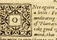 Picture 9 of 12 from A plaine path-way to plantations : that is, A discourse in generall, concerning the plantation of our English people in other countries. Wherein is declared, that the attempts or actions, in themselues are very good and laudable, necessary also for our country of England. Doubts thereabout are answered: and some meanes are shewed, by which the same may, in better sort then hitherto, be prosecuted and effected. Written for the perswading and stirring vp of the people of this land, chiefly the poorer and common sort to affect and effect these attempts better then yet they doe. With certaine motiues for a present plantation in New-found land aboue the rest. Made in the manner of a conference, and diuided into three parts, for the more plainnesse, ease, and delight to the reader. (1624), leaf 105
