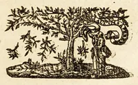 An illustration from A plaine path-way to plantations : that is, A discourse in generall, concerning the plantation of our English people in other countries. Wherein is declared, that the attempts or actions, in themselues are very good and laudable, necessary also for our country of England. Doubts thereabout are answered: and some meanes are shewed, by which the same may, in better sort then hitherto, be prosecuted and effected. Written for the perswading and stirring vp of the people of this land, chiefly the poorer and common sort to affect and effect these attempts better then yet they doe. With certaine motiues for a present plantation in New-found land aboue the rest. Made in the manner of a conference, and diuided into three parts, for the more plainnesse, ease, and delight to the reader. (1624)