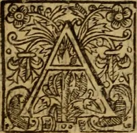 An illustration from Plain Scripture proof of infants church-membership and baptism : being the arguments prepared for (and partly managed in) the publike dispute with Mr. Tombes at Bewdley on the first day of January, 1649 .. (1651)