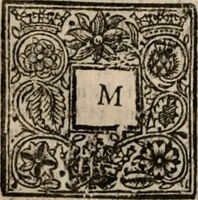 An illustration from Plain Scripture proof of infants church-membership and baptism : being the arguments prepared for (and partly managed in) the publick dispute with Mr. Tombes at Bewdley on the first day of Jan. 1649 : with a full reply to what he then answered and what is contained in his sermon since preached ... with a reply to his valedictory oration at Bewdley and a corrective for his antidote (1653)