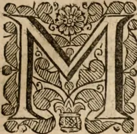 An illustration from Plain Scripture proof of infants church-membership and baptism : being the arguments prepared for (and partly managed in) the publick dispute with Mr. Tombes at Bewdley on the first day of Jan. 1649 : with a full reply to what he then answered and what is contained in his sermon since preached ... with a reply to his valedictory oration at Bewdley and a corrective for his antidote (1653)
