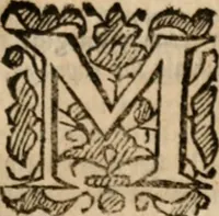 An illustration from Plain Scripture proof of infants church-membership and baptism : being the arguments prepared for (and partly managed in) the publick dispute with Mr. Tombes at Bewdley on the first day of Jan. 1649 : with a full reply to what he then answered and what is contained in his sermon since preached ... with a reply to his valedictory oration at Bewdley and a corrective for his antidote (1653)
