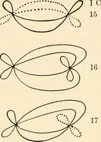 An illustration from Plane curves of the eighth order : with two real four-fold points having distinct tangents and with no other point singularities (1908)