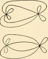 An illustration from Plane curves of the eighth order : with two real four-fold points having distinct tangents and with no other point singularities (1908)