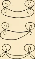 An illustration from Plane curves of the eighth order : with two real four-fold points having distinct tangents and with no other point singularities (1908)