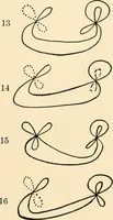 Picture 8 of 21 from Plane curves of the eighth order : with two real four-fold points having distinct tangents and with no other point singularities (1908), leaf 30
