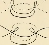 An illustration from Plane curves of the eighth order : with two real four-fold points having distinct tangents and with no other point singularities (1908)