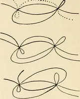 An illustration from Plane curves of the eighth order : with two real four-fold points having distinct tangents and with no other point singularities (1908)