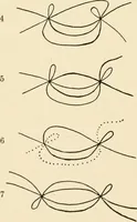 An illustration from Plane curves of the eighth order : with two real four-fold points having distinct tangents and with no other point singularities (1908)