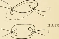 An illustration from Plane curves of the eighth order : with two real four-fold points having distinct tangents and with no other point singularities (1908)