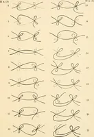 An illustration from Plane curves of the eighth order : with two real four-fold points having distinct tangents and with no other point singularities (1908)