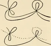 An illustration from Plane curves of the eighth order : with two real four-fold points having distinct tangents and with no other point singularities (1908)