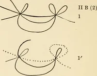 An illustration from Plane curves of the eighth order : with two real four-fold points having distinct tangents and with no other point singularities (1908)