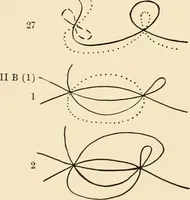 An illustration from Plane curves of the eighth order : with two real four-fold points having distinct tangents and with no other point singularities (1908)