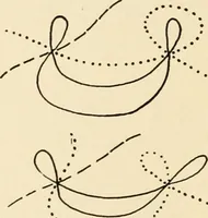 An illustration from Plane curves of the eighth order : with two real four-fold points having distinct tangents and with no other point singularities (1908)