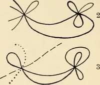 An illustration from Plane curves of the eighth order : with two real four-fold points having distinct tangents and with no other point singularities (1908)