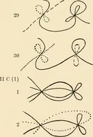 Picture 20 of 21 from Plane curves of the eighth order : with two real four-fold points having distinct tangents and with no other point singularities (1908), leaf 37