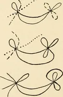 An illustration from Plane curves of the eighth order : with two real four-fold points having distinct tangents and with no other point singularities (1908)