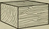 An illustration from Plane and solid geometry (1912)