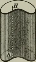 An illustration from Plane and solid geometry (1912)