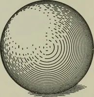 An illustration from Plane and solid geometry (1912)