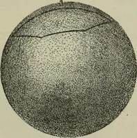 An illustration from Plane and solid geometry (1912)