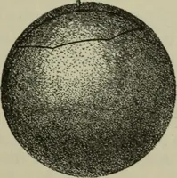 An illustration from Plane and solid geometry (1912)