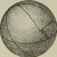 An illustration from Plane and solid geometry (1912)