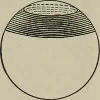 An illustration from Plane and solid geometry (1912)