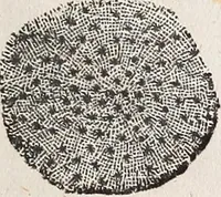 An illustration from The planetarium, and astronomical calculator .. (1833)