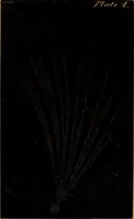 An illustration from The planetary and stellar worlds: a popular exposition of the great discoveries and theories of modern astronomy (1852)