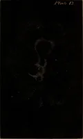 Picture 14 of 18 from The planetary and stellar worlds: a popular exposition of the great discoveries and theories of modern astronomy (1852), leaf 368