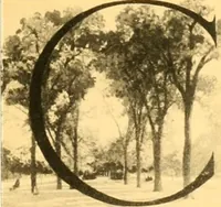 Picture 82 of 151 from Plan of Chicago prepared under the direction of the Commercial club during the years 1906, 1907, and 1908 (1909), leaf 124