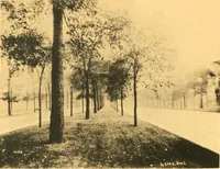 Picture 100 of 151 from Plan of Chicago prepared under the direction of the Commercial club during the years 1906, 1907, and 1908 (1909), leaf 149