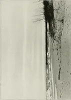 An illustration from Plan of Evanston (1917)