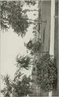 An illustration from Plan of Evanston (1917)