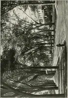 An illustration from Plan of Evanston (1917)