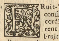 An illustration from The planters manual : being instructions for the raising, planting, and cultivating all sorts of fruit-trees, whether stone-fruits or pepin-fruits, with their natures and seasons : very useful for such as are curious in planting and grafting (1675)