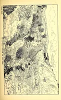 An illustration from Plant and material of the Panama Canal (1888)