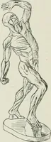 An illustration from Plastering, plain and decorative. A practical treatise on the art & craft of plastering and modelling, including full descriptions of the various tools, materials, processes, and appliances employed ... together with an account of historical plastering in England, Scotland, and Ireland, accompanied by numerous examples (1899)